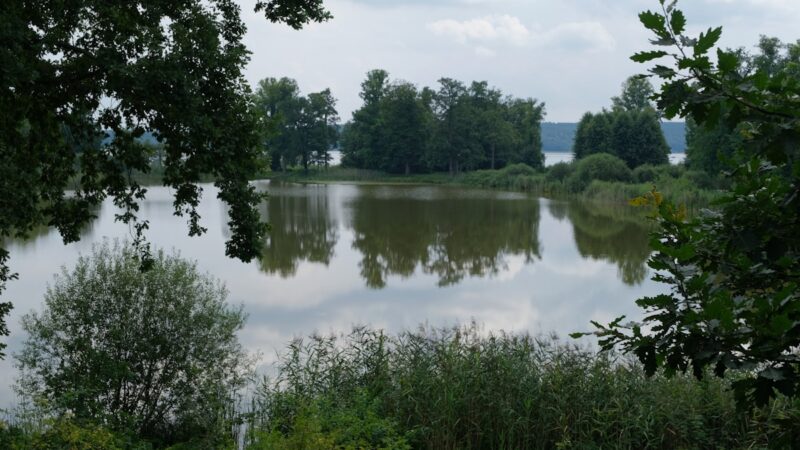 Uferlandschaft an der Havel