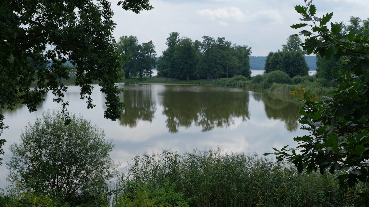 Uferlandschaft an der Havel