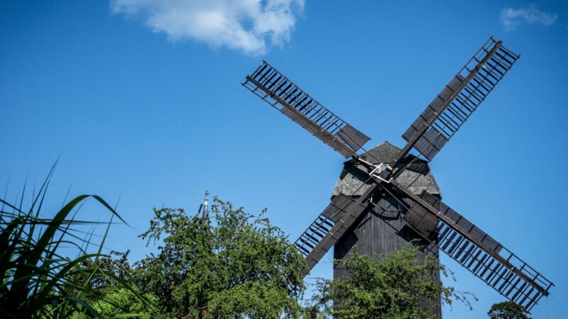 Bockwindmühle in Werder an der Havel